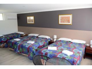 Civic Motor Inn Hotel, Cowra - 1