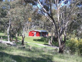 Clare Valley Cabins Accomodation, Clare - 2