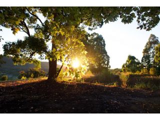 Clarendon Forest Retreat Guest house, New South Wales - 5