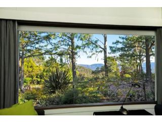 Cliffview Cottage with Views Guest house, Leura - 1