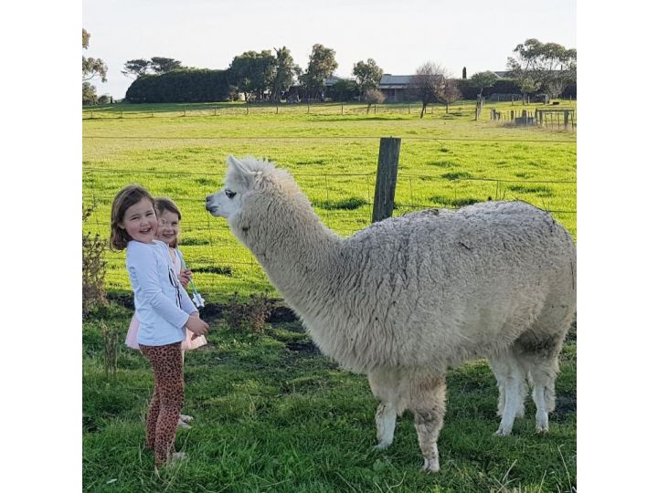 Clonmara Country House and Cottages Hotel, Port Fairy - imaginea 18
