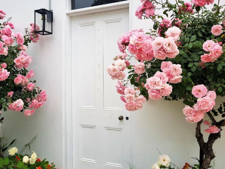 Clonmara Country House and Cottages Hotel, Port Fairy - imaginea 10