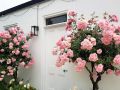 Clonmara Country House and Cottages Hotel, Port Fairy - thumb 20