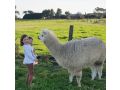 Clonmara Country House and Cottages Hotel, Port Fairy - thumb 18