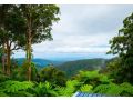 CLOUD 9 - Cliff Top Eagle Heights Guest house, Mount Tamborine - thumb 6