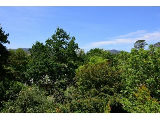 Cloudsong Chalet 3 - Close to the village centre! Guest house, Kangaroo Valley - 5
