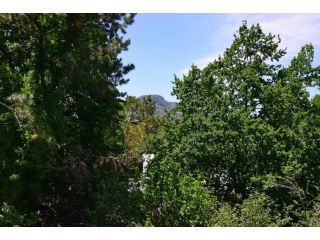 Cloudsong Chalet 4 - Close to the village centre! Guest house, Kangaroo Valley - 5