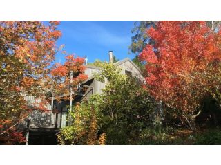 Cloudsong Chalet 4 - Close to the village centre! Guest house, Kangaroo Valley - 2