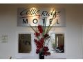 Collie Ridge Motel Hotel, Collie - thumb 8