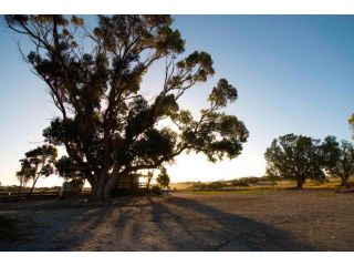 Coodlie Park Farm Retreat Farm stay, South Australia - 5