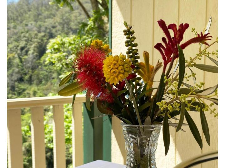 Copeland House Bed and breakfast, New South Wales - imaginea 14