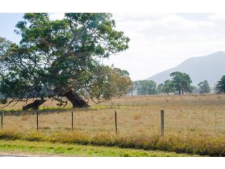 Corrugated Cottage Guest house, Dunkeld - 3