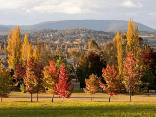 Costa Park Cottage Dio - Armidale Apartment, Armidale - 5