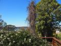 Cosy, comfortable Cottage - views & location plus Guest house, Tasmania - thumb 7
