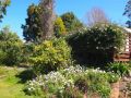 Cosy, comfortable Cottage - views & location plus Guest house, Tasmania - thumb 12