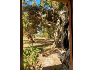 Peacehaven Shack on the Irwin Inlet Apartment, Western Australia - 4