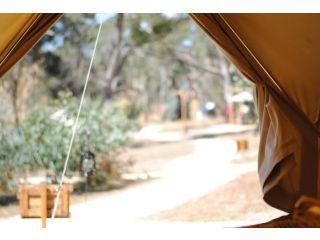 Cosy Tents - Daylesford Campsite, Victoria - 5