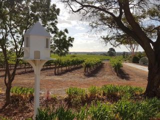 'In The Vines' Guest Cottage, Barossa Valley Apartment, South Australia - 2