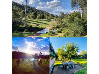 Country Retreat on 100 acres Guest house, New South Wales - 2