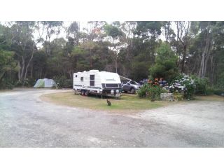 Crayfish Creek Van & Cabin Park Accomodation, Tasmania - 2