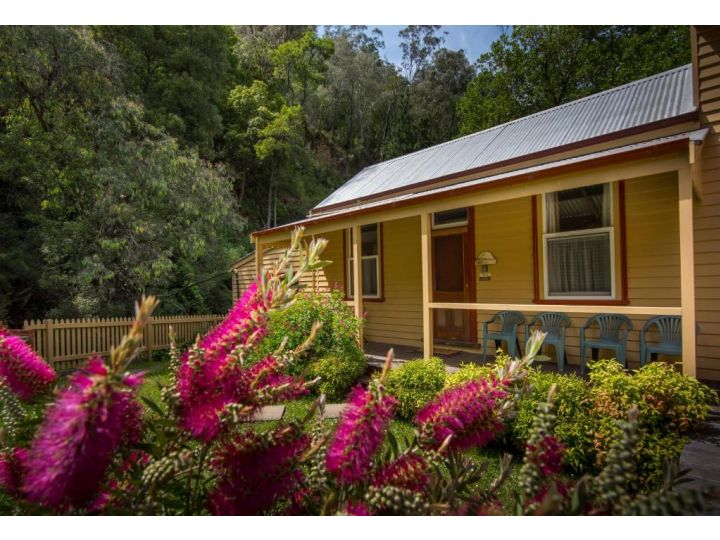 Creek Cottage Apartment, Walhalla - imaginea 4