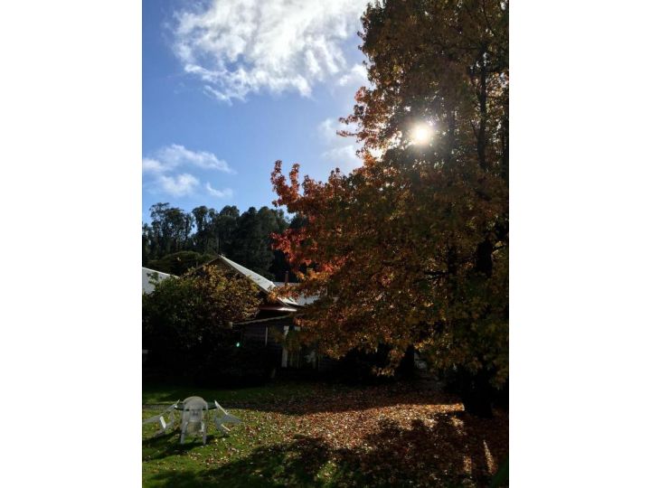 Crossways Country Inn Hotel, Marysville - imaginea 17