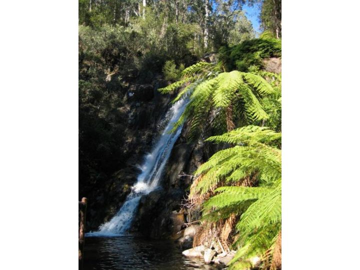 Crossways Country Inn Hotel, Marysville - imaginea 16