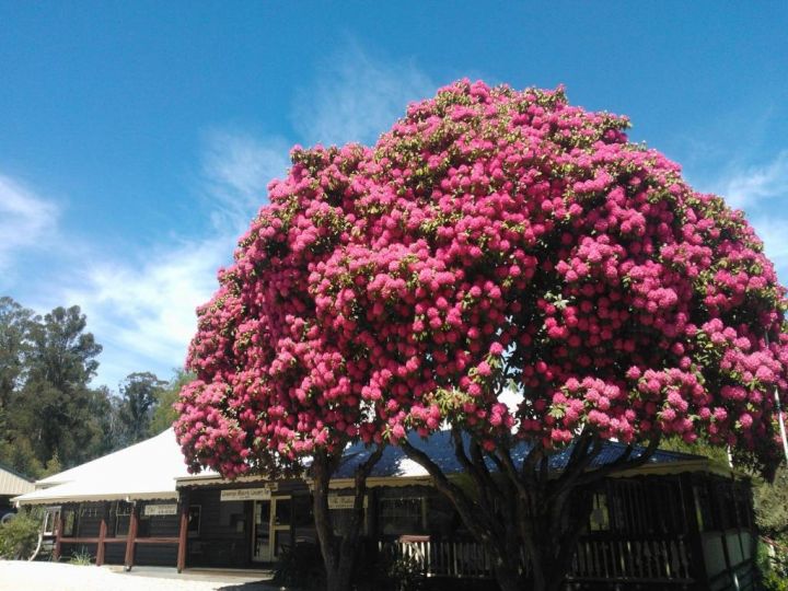 Crossways Country Inn Hotel, Marysville - imaginea 6