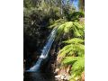 Crossways Country Inn Hotel, Marysville - thumb 16