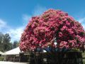 Crossways Country Inn Hotel, Marysville - thumb 6