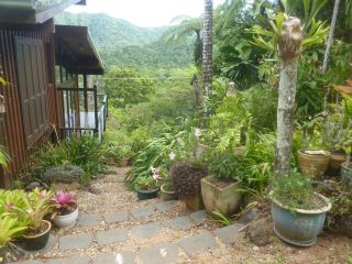 Daintree Holiday Homes - The Folly Guest house, Diwan - 2