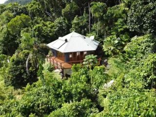 Daintree Holiday Homes - Treeverb Beach House Guest house, Cow Bay - 2
