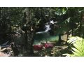 Daintree Secrets Rainforest Sanctuary Guest house, Diwan - thumb 8