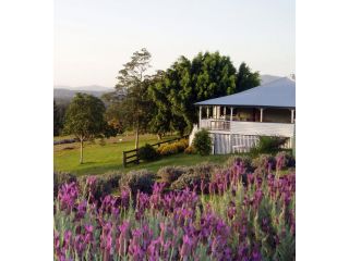 Dayboro - Blue Ridge Lavender Cottage Guest house, Queensland - 5