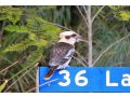 Deedy's Nest -Couple's Retreat at Mystery Bay Guest house, Mystery Bay - thumb 8