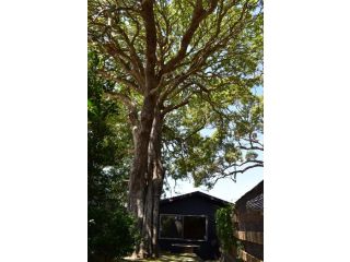 Discover Bali in Booker Bay Guest house, Booker Bay - 5