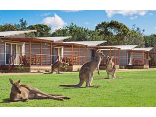 Discovery Parks - Pambula Beach Hotel, New South Wales - 3