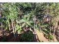 Dollarbird TreeTops Townhouse 511 Guest house, Cams Wharf - thumb 18