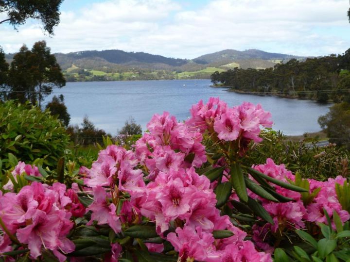 Donalea Bed and Breakfast & Riverview Apartment Bed and breakfast, Tasmania - imaginea 18