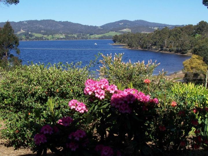 Donalea Bed and Breakfast & Riverview Apartment Bed and breakfast, Tasmania - imaginea 7