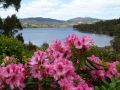 Donalea Bed and Breakfast & Riverview Apartment Bed and breakfast, Tasmania - thumb 18