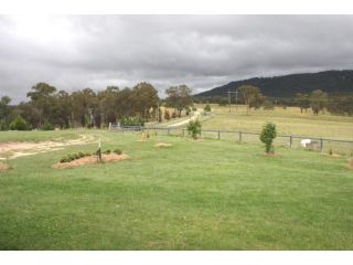 Donegal Farmstay Bed and breakfast, New South Wales - 5