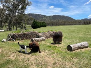 Donegal Farmstay Bed and breakfast, New South Wales - 2