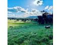 Donegal Farmstay Bed and breakfast, New South Wales - thumb 4