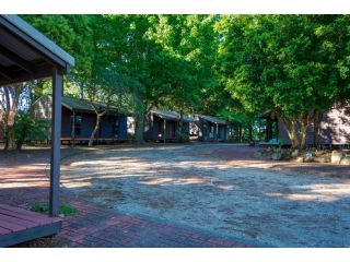 Dorrigo Mountain Holiday Park Campsite, New South Wales - 1