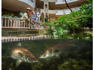 DoubleTree by Hilton Cairns Hotel, Cairns - 3