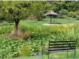 Drayshed cottage Guest house, Blayney - 1