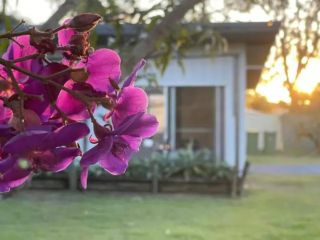 Dream Holiday Condo with Caravan Parking Kallangur Apartment, Queensland - 2