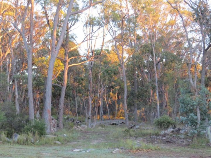 Earth & Soul Retreat Hotel, New South Wales - imaginea 5