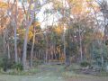 Earth & Soul Retreat Hotel, New South Wales - thumb 5